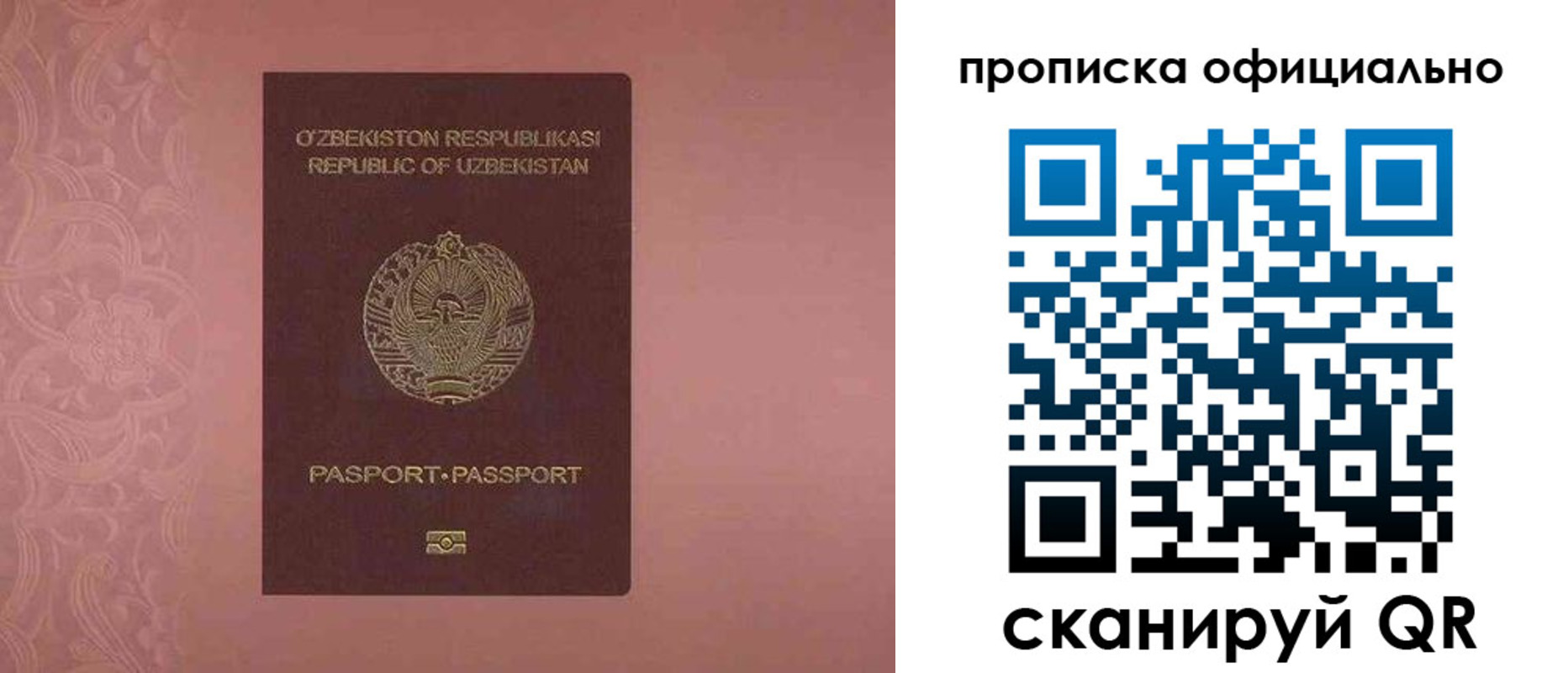прописка гарантия в Тамбове